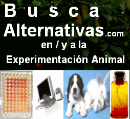 Busca Alternativas